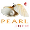 ADD PEARLINFO PVT. LTD. Logo