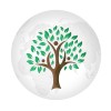 MY TREE