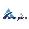 Amaytics-A Digital Marketing Agency
