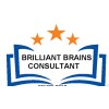 Brilliant Brains Consultant