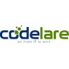 Codelare- Google Partner Company Logo