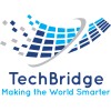TechBridge Consultancy Services Logo