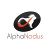 Alpha Nodus Logo