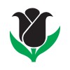 Black Tulip Flowers LLC Logo