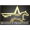 BRANDSUN Promotion Logo