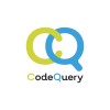 Codequery Technology Logo