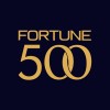 Fortune 500 Logo