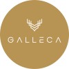 Galleca_India Logo