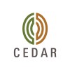 Cedar Management Consulting International Logo