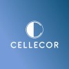Cellecor Gadgets Ltd. Logo