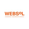 Websol Energy System Limited