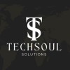 Techsoul Solutions Logo