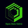 AIML Analytics Solutions Pvt Ltd (OpenDataFabric) Logo