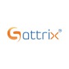 Sattrix Information Security Logo