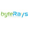 ByteRays Technology Pvt. Ltd Logo
