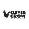 Clever Crow Strategies