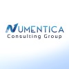 Numentica Consulting Group