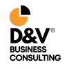 D&V Business Consulting