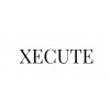 Xecute Businesses Private Limited Logo