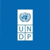 UNDP in the Arab States region Logo
