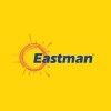 Eastman Auto & Power Limited Logo
