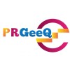 Prgeeq Global Solutions Private Limited Logo