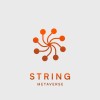 String Metaverse