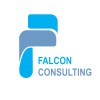 Falcon Consulting Logo