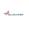 Bluehawk LLC, Intelligence Services