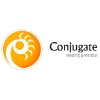 Conjugate Consulting