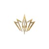 Navinora Pvt Ltd