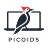 Picoids Technology and Consulting