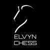 Elvyn Chess Logo