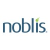 Noblis Logo