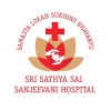 Sri Sathya Sai Sanjeevani Hospital - India