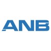 ANB Solutions Pvt. Ltd Logo