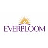 Everbloom Healthcare Pvt Ltd
