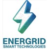 Energrid Smart Technologies Logo