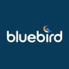 Bluebird