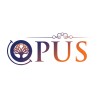 Opus Global Services LLC