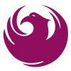 Phoenix Assurance Pvt Ltd Logo