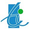 Techversant Logo
