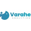 Varahe Analytics Private Limited Logo