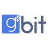 GBIT (Global Bridge InfoTech Inc) Logo